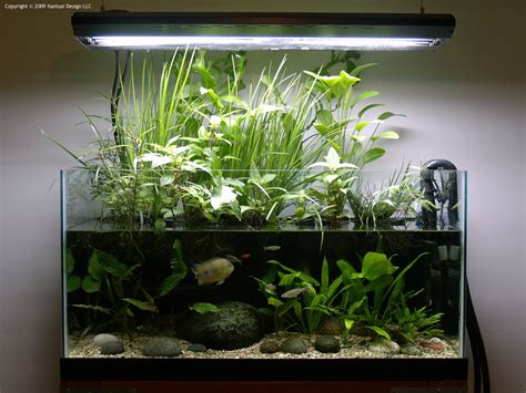 fish tank aquarium root
